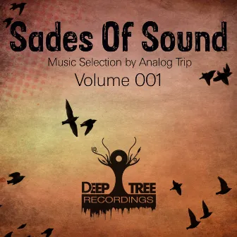 Shades of Sound Vol 001 by Analog Trip