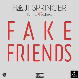 Fake Friends by Haji Springer