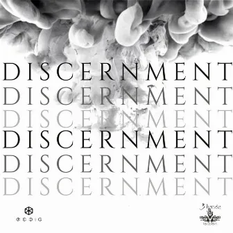 Discernment by Redig