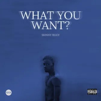 What You Want by Skinny Jiggy