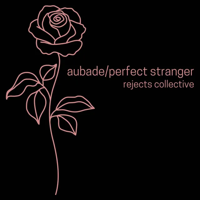 Perfect Stranger