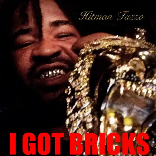 I Got Bricks