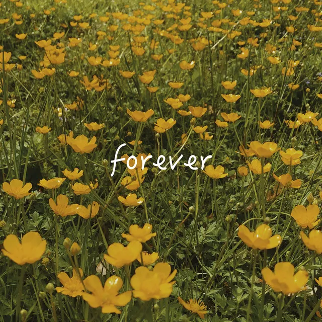 forever