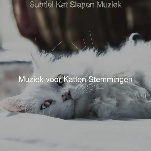 Subtiel Kat Slapen Muziek