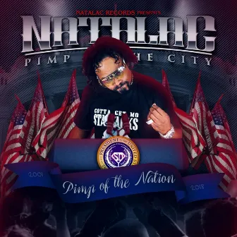 Pimp of the Nation (Radio Edit) by Natalac