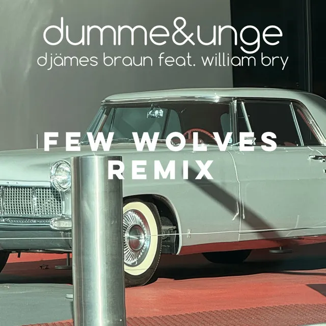 dumme&unge (Freestyle) [feat. William Bry] [Few Wolves Remix]