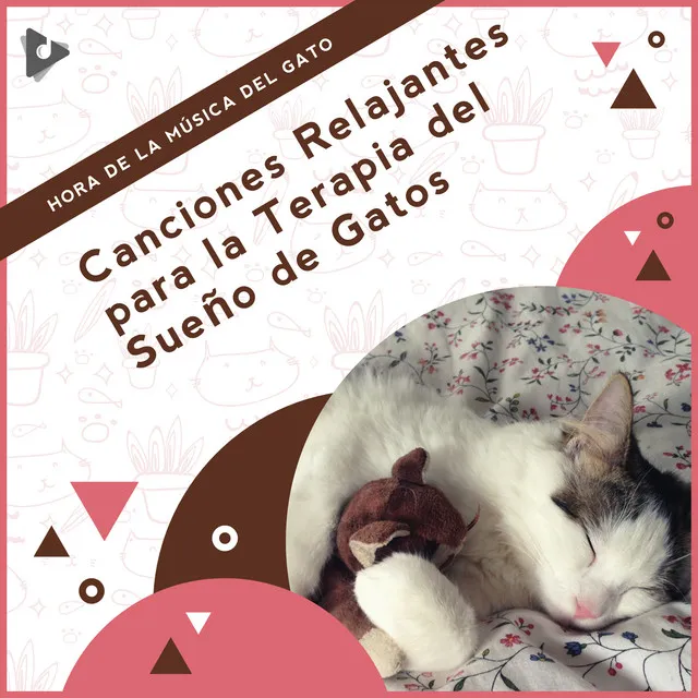 Canciones Relajantes para la Terapia del Sueño de Gatos