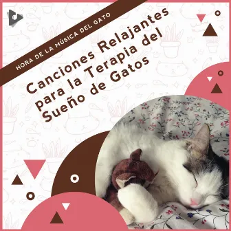 Canciones Relajantes para la Terapia del Sueño de Gatos by Música Calmante para Gatitos