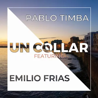 Un Collar by Pablo Timba