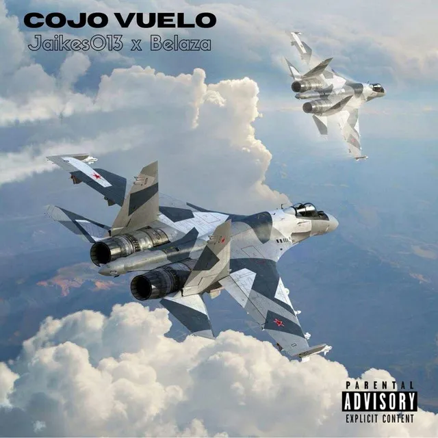 Cojo Vuelo