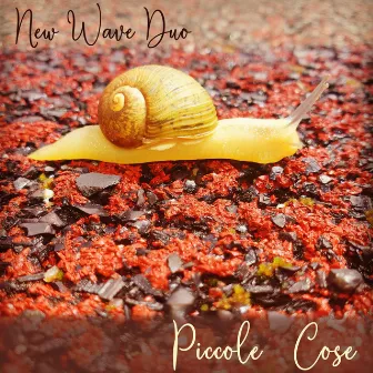 Piccole Cose by NEW WAVE DUO