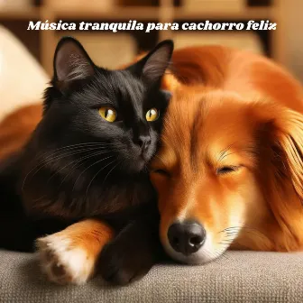 Música tranquila para cachorro feliz: Música terapéutica para calmar a tus perros y gatos by Música para Perros!