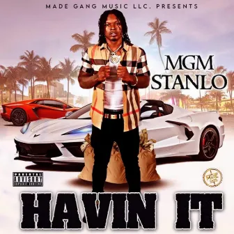 Havin It (Radio Edit) by MGM Stanlo