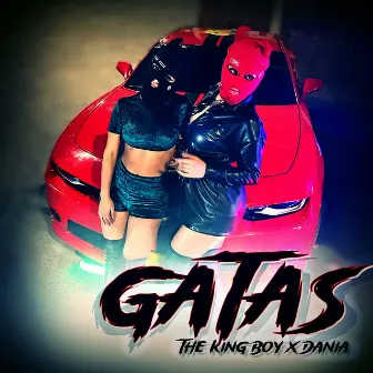 Gatas by The King Boy Oficial