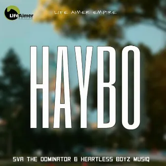 Haybo by Heartless Boyz MusiQ