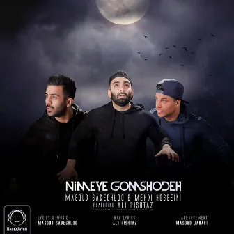 Nimeye Gomshodeh by Mehdi Hosseini