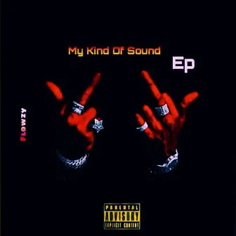 My Kind Of Sound by Flowzy