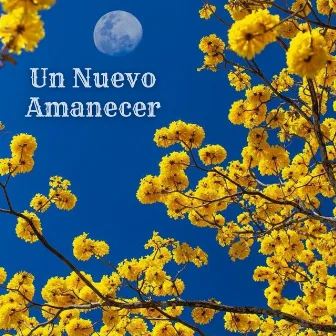 Un Nuevo Amanecer by Herbster Family