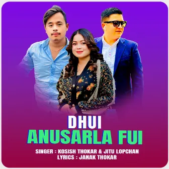 Dhui Anusarla Fui by Kosish Thokar