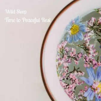 Time to Peaceful Rest by Wild Sleep