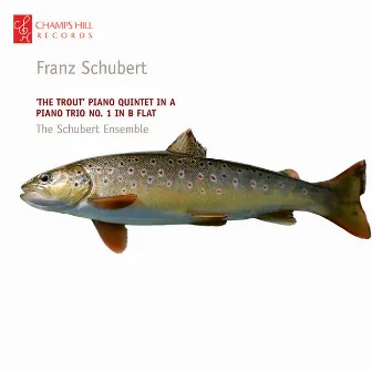 Schubert: 'The Trout' Piano Quintet in A - Piano Trio No. 1 in B Flat by The Schubert Ensemble