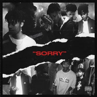 Sorry by PRXNCE