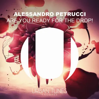 Are You Ready for the Drop! by Alessandro Petrucci