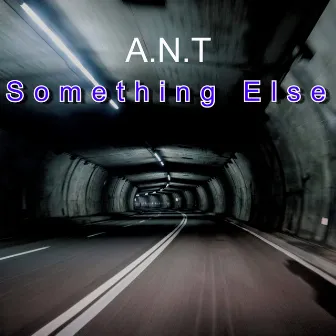 Something Else by A.N.T