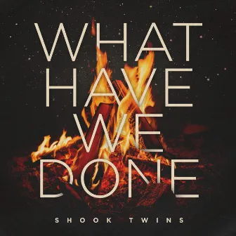 What Have We Done by Shook Twins