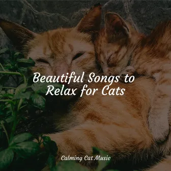 Beautiful Songs to Relax for Cats by Cat Music Dreams