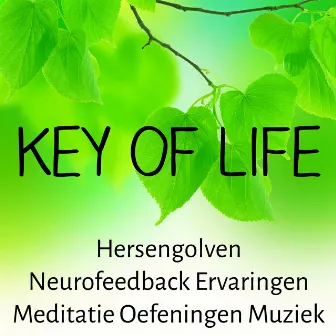 Key of Life - Hersengolven Neurofeedback Ervaringen Meditatie Oefeningen Muziek voor Slaapproblemen Biofeedback Opleiding en Stress Verminderen by Unknown Artist