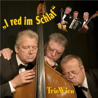 I red im Schlaf by Trio Wien