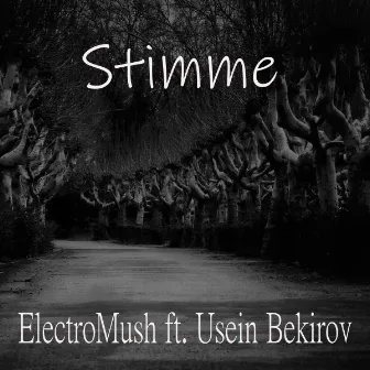 Stimme (Piano version) by ElectroMush