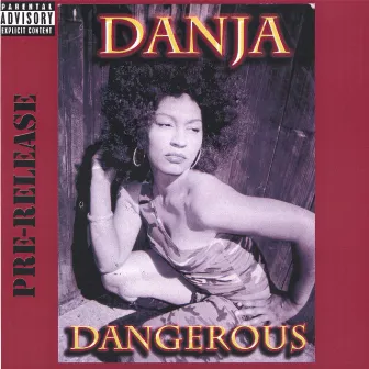 Dangerous by Danja