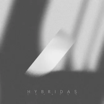 Changes by hybridas