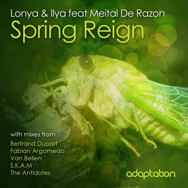 Spring Reign - Bertrand Dupart Remix