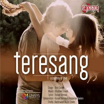 Tere Sang by Amit Sengar