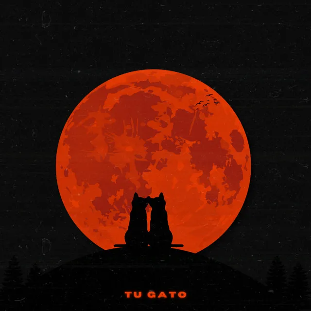 Tu Gato