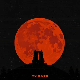 Tu Gato by Vincez