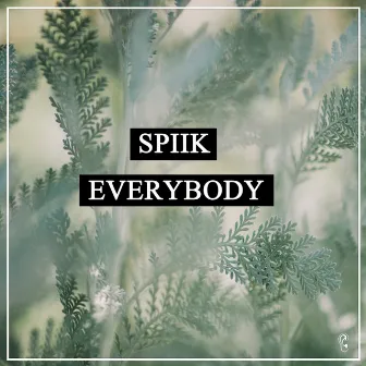 Everybody by Spiik