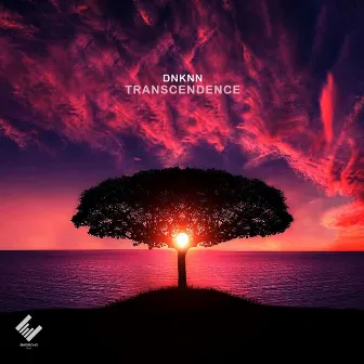 Transcendence by DNKNN