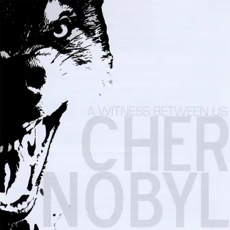 A Witness Between Us by Cher Nobyl