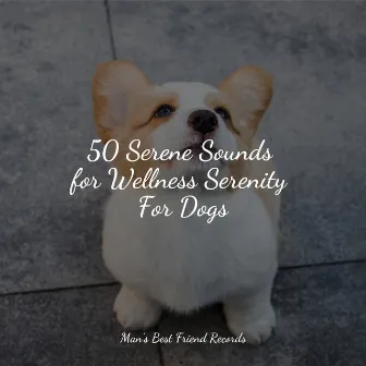 50 Serene Sounds for Wellness Serenity For Dogs by 