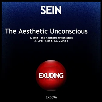 The Aesthetic Unconscious by Sein