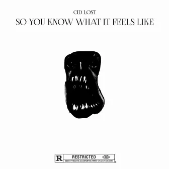 so you know what it feels like by Cid Lost