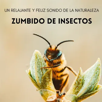 Zumbido De Insectos: Un Relajante Y Feliz Sonido De La Naturaleza by Naturaleza Soundzzz Club