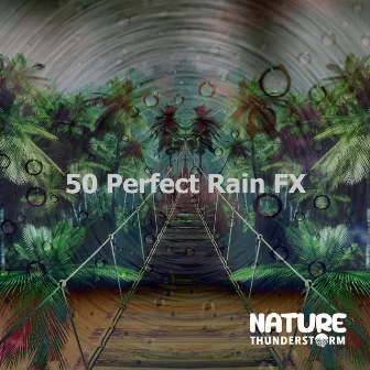 50 Perfect Rain FX by Nature Thunderstorm