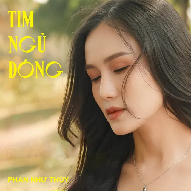 Tim Ngủ Đông