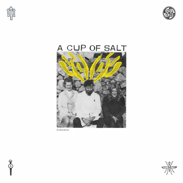 A Cup of Salt