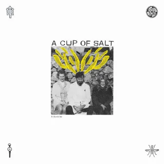 A Cup of Salt by H. Hawkline